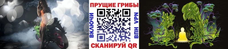 Псилоцибиновые грибы GOLDEN TEACHER Курск