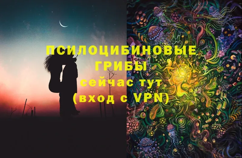 Галлюциногенные грибы Cubensis  Курск 