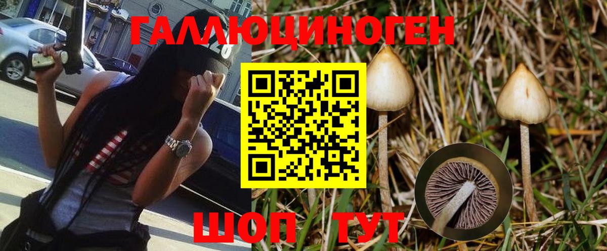 Псилоцибиновые грибы прущие грибы Курск