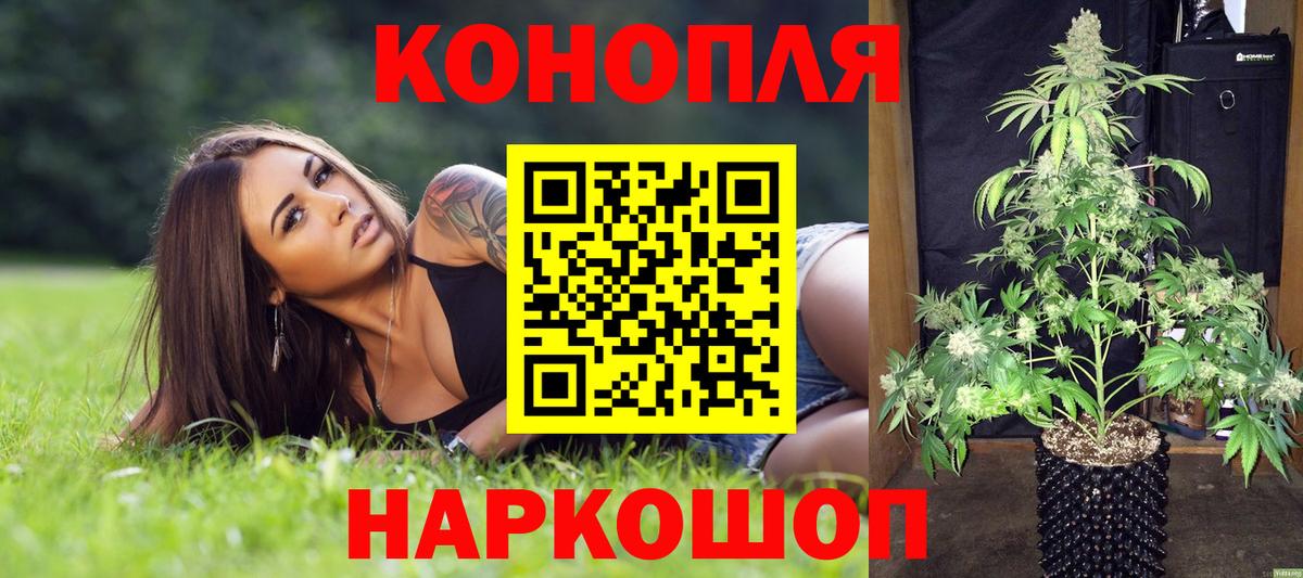 Каннабис планчик  Конопля план  Курск  МАРИХУАНА семена  МАРИХУАНА LSD WEED  Вход с VPN 